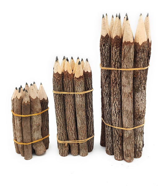 3.5 Inch Jungle Vine Pencils
